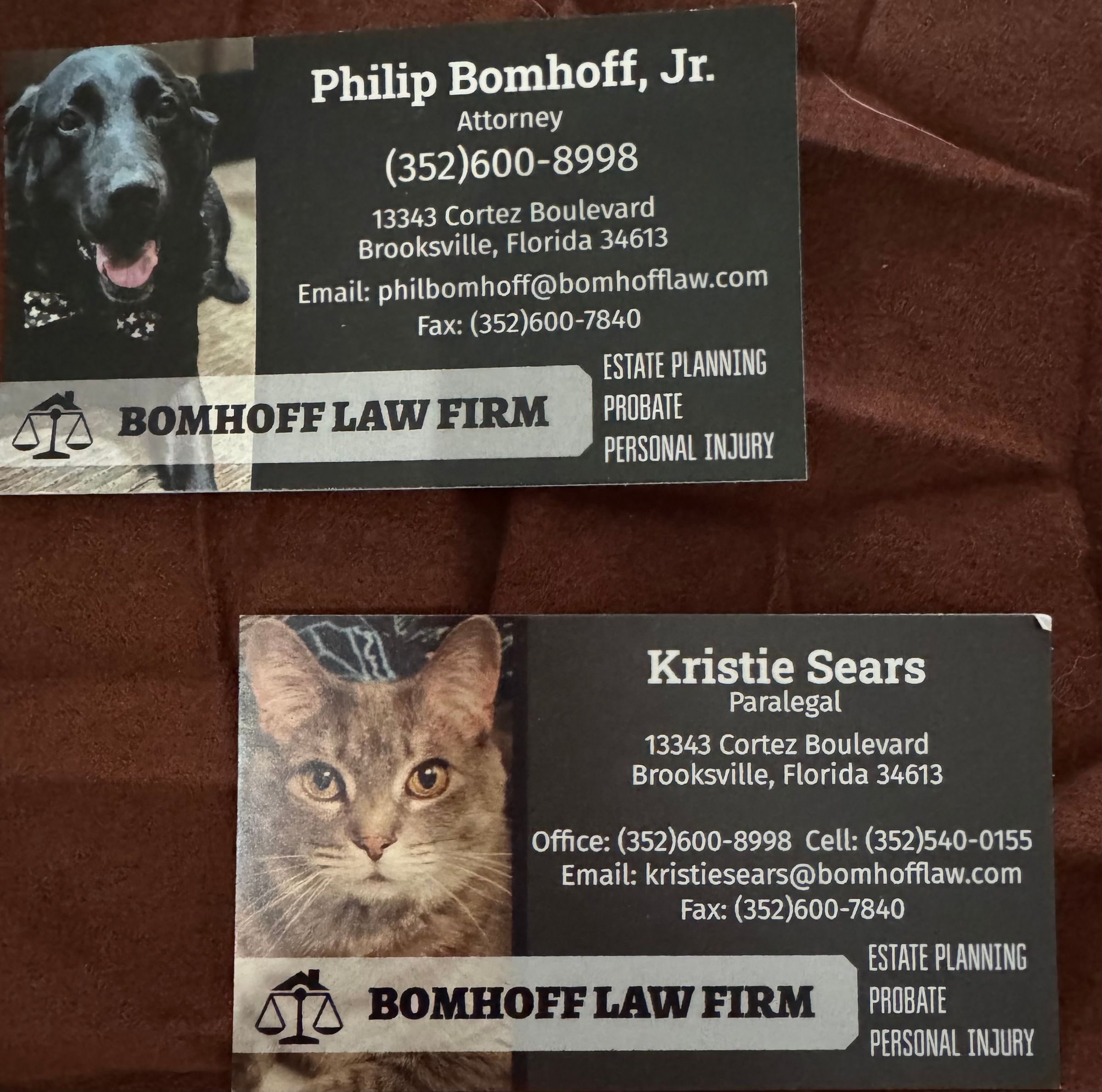 VILLAGE OF PAWSITIVITY's image