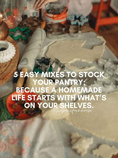 Echoflightfive.org's image