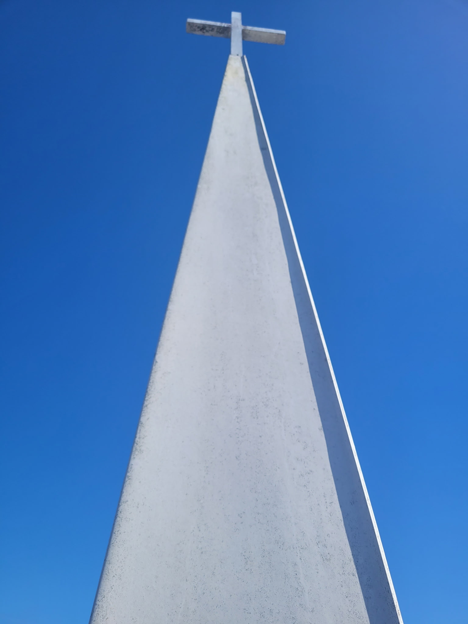 Growth and Debris Removals