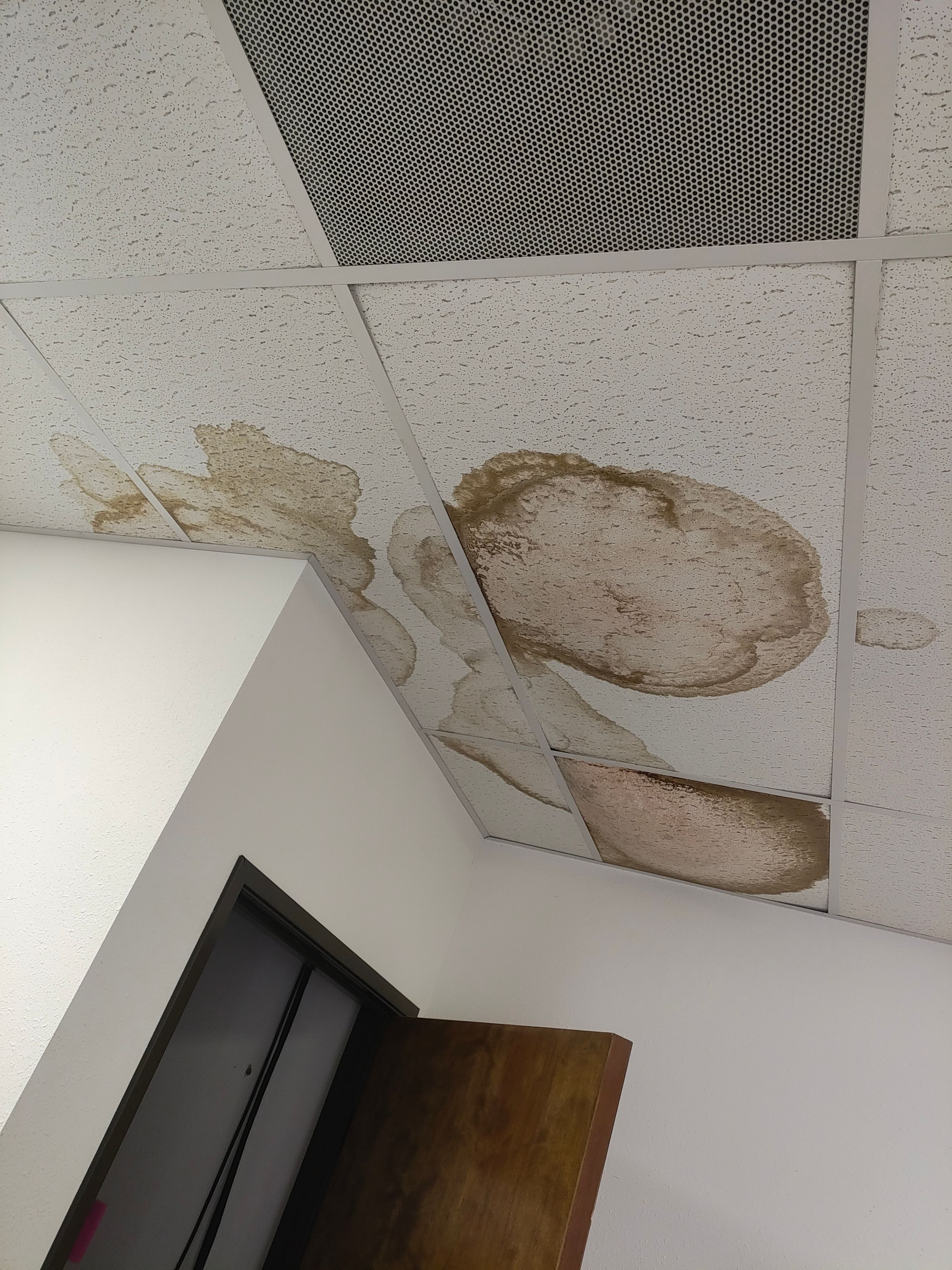 Damaged Ceiling Tile