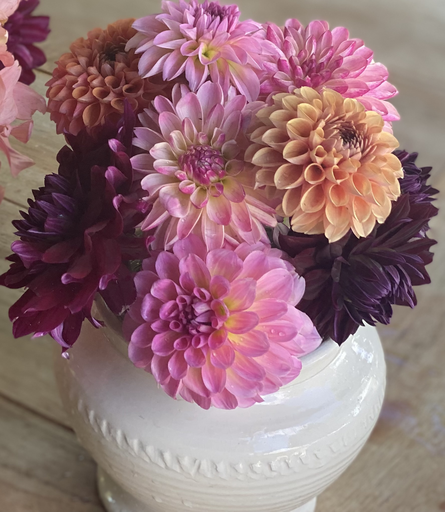 Duntroon  Blooms's image