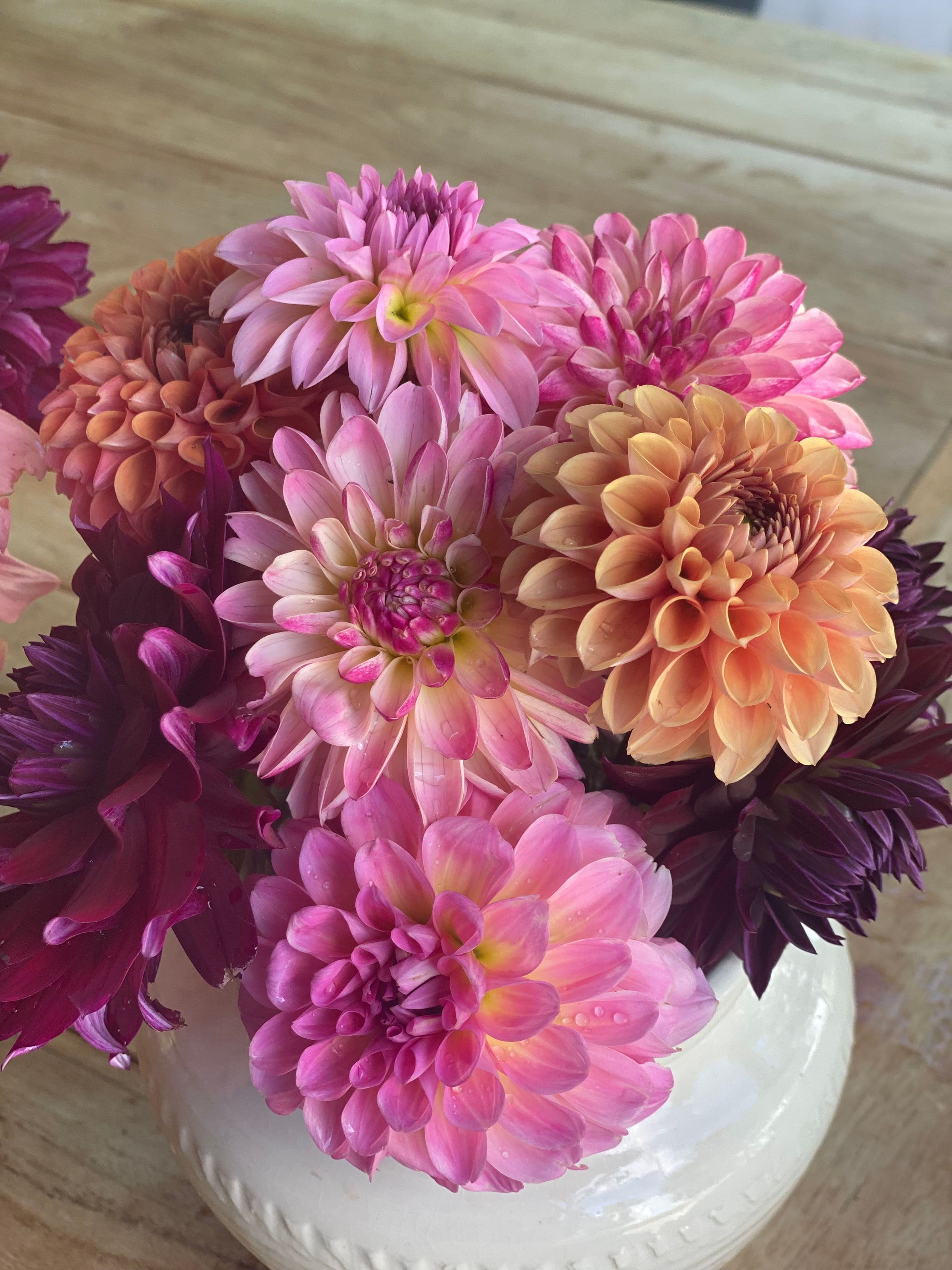 Duntroon  Blooms's image