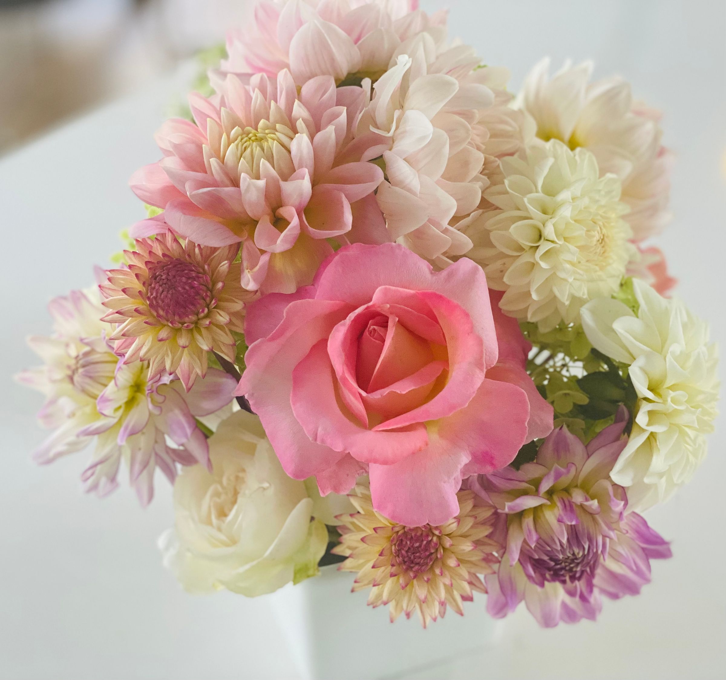 Duntroon  Blooms's image