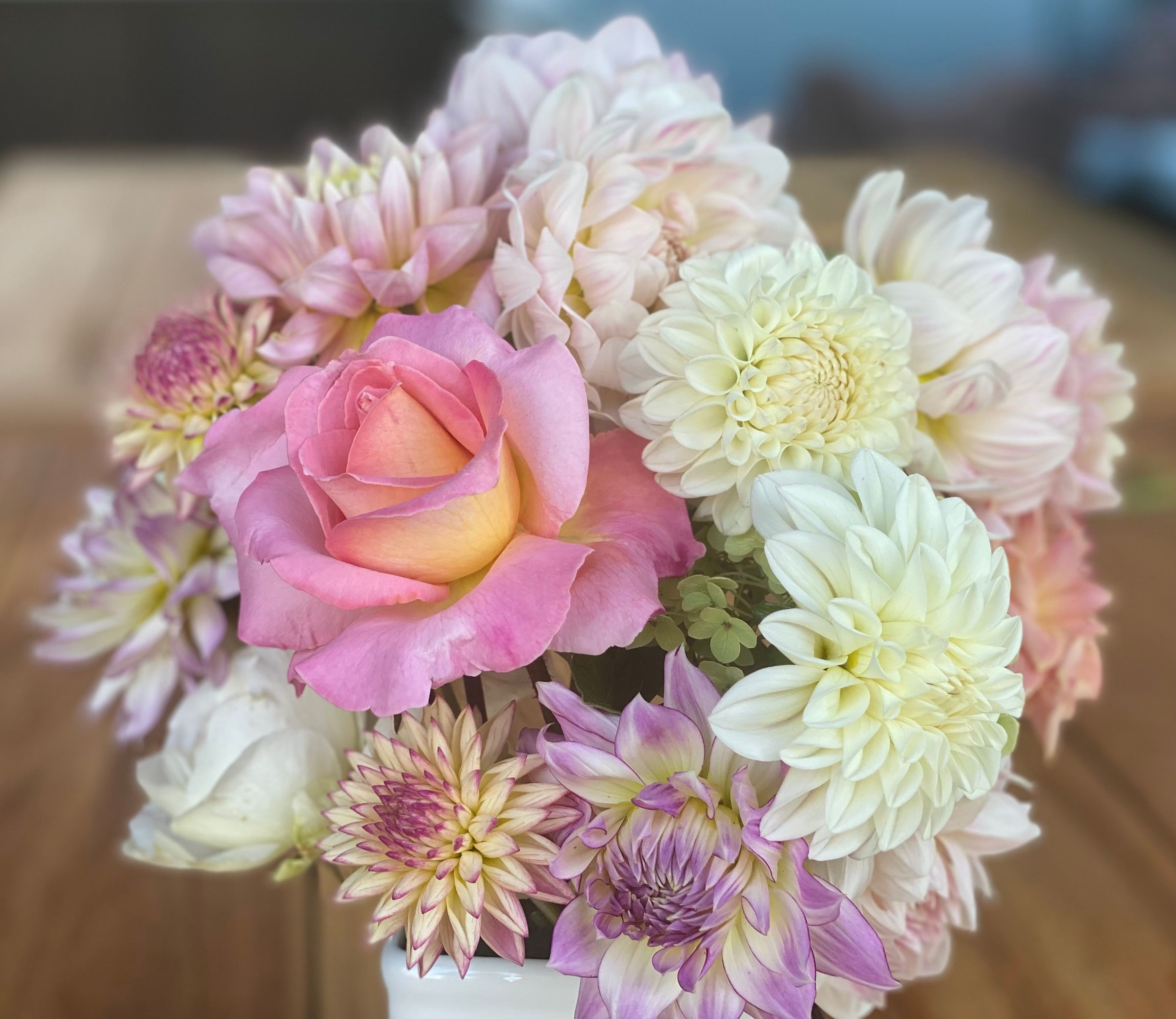 Duntroon  Blooms's image