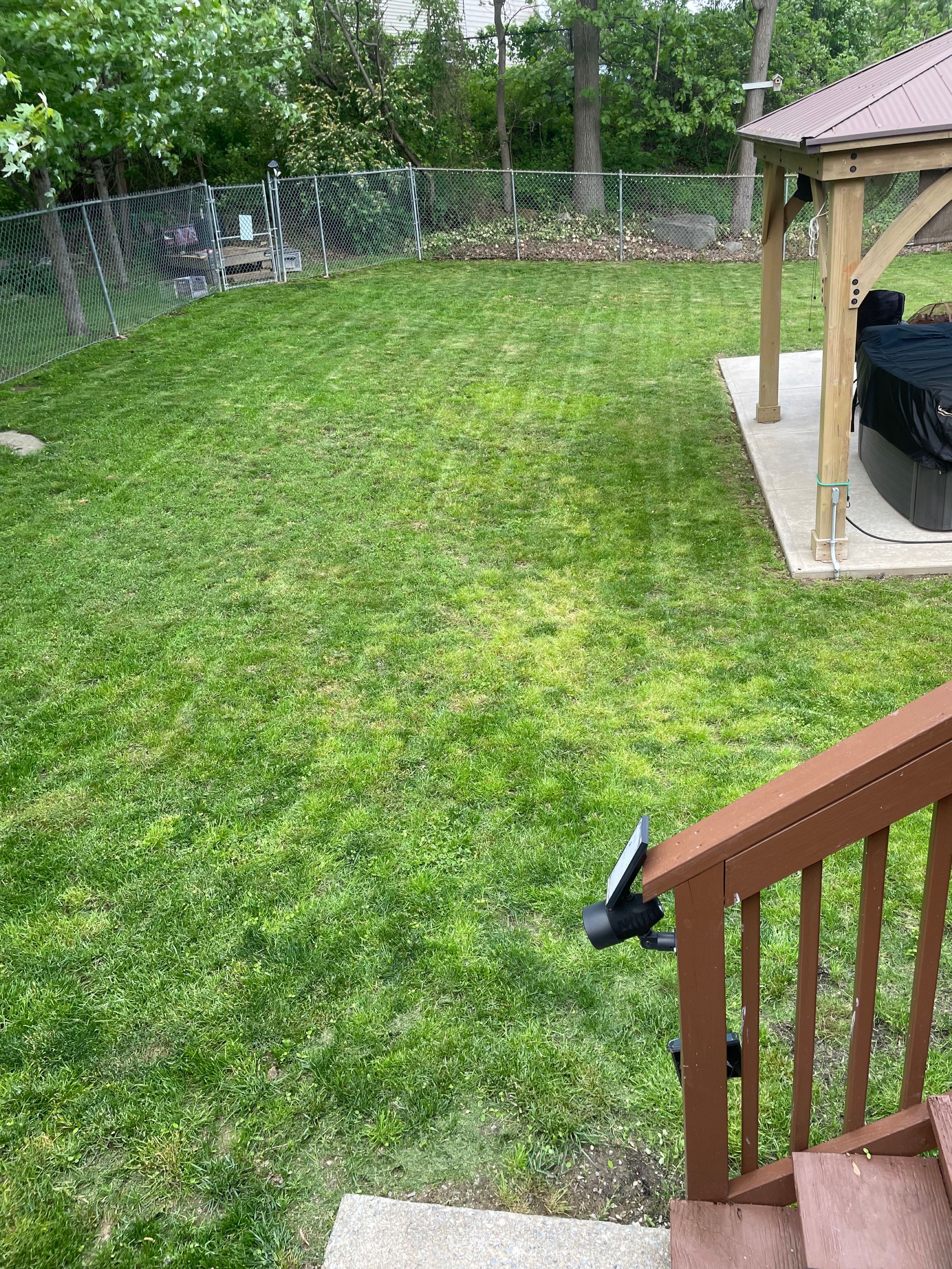 Woodland Wizard Lawn Care | Lawn Mowing's image
