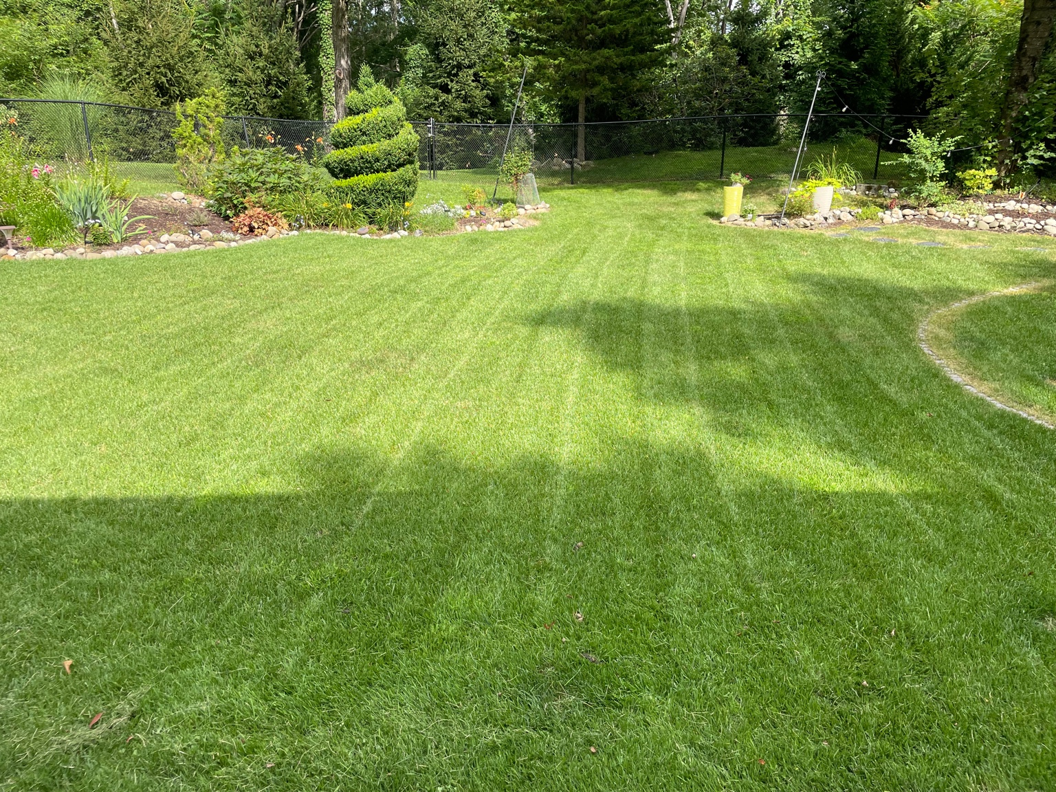 Woodland Wizard Lawn Care | Lawn Mowing's image