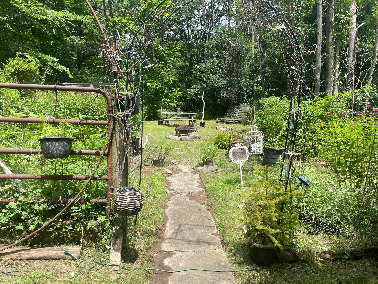 Woodland Wizard Lawn Care | Lawn Mowing's image