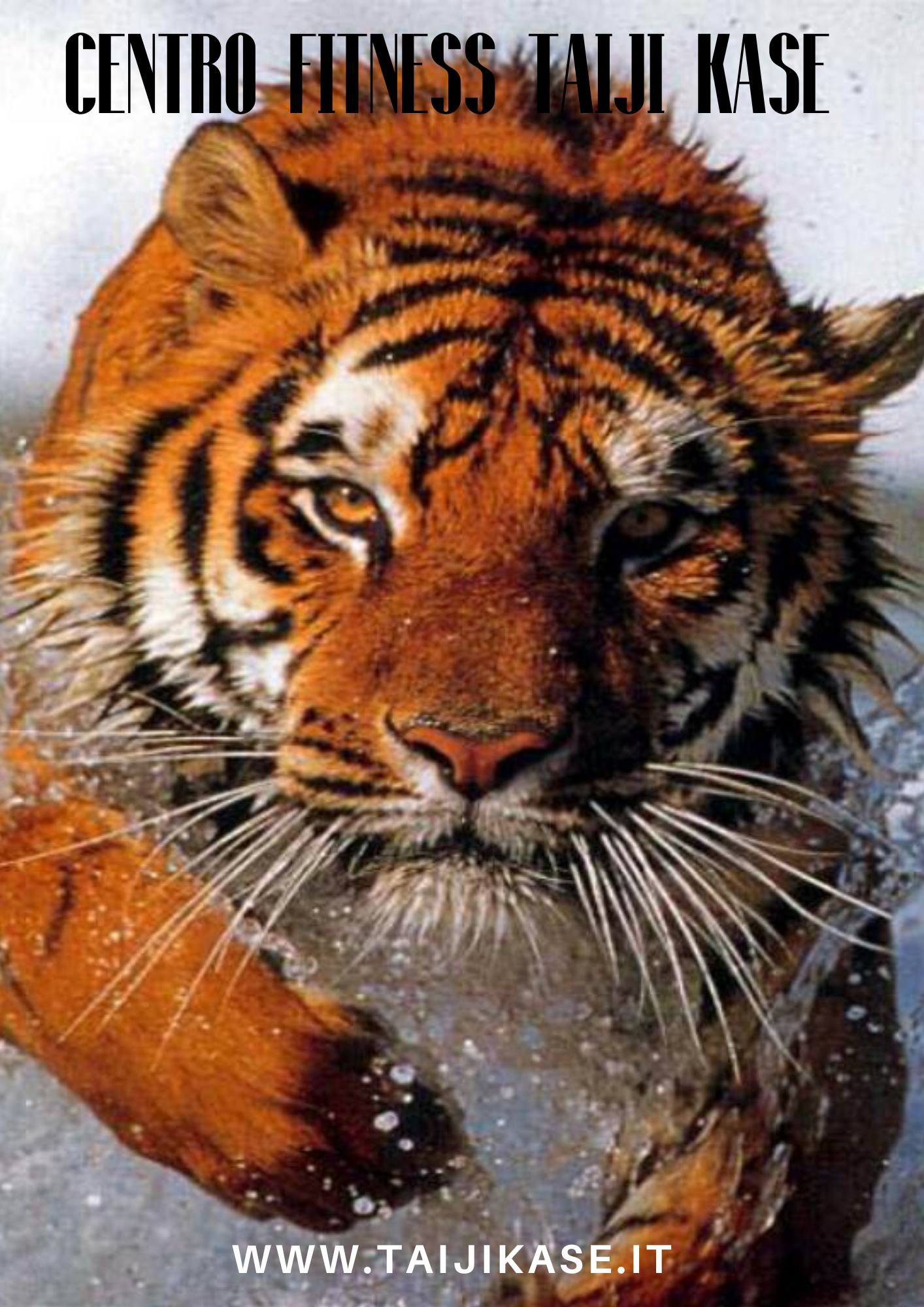 OVER THE TOP's image