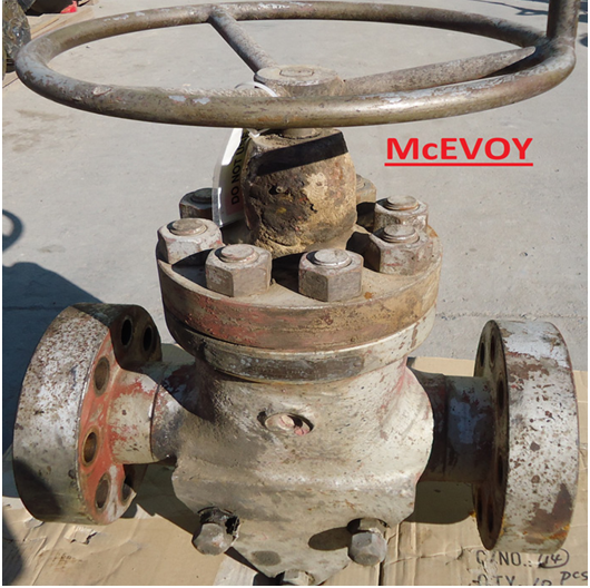 McEvoy Gate Valve (Split Type)