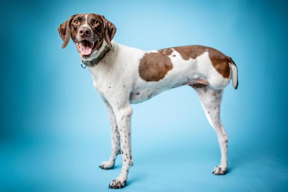 CharJoy’s Cajun Cooking's image