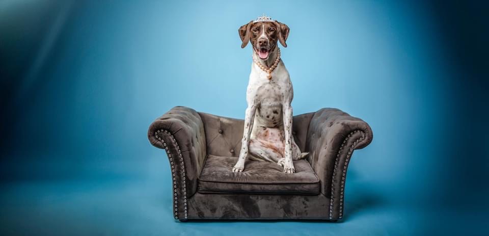 CharJoy’s Cajun Cooking's image