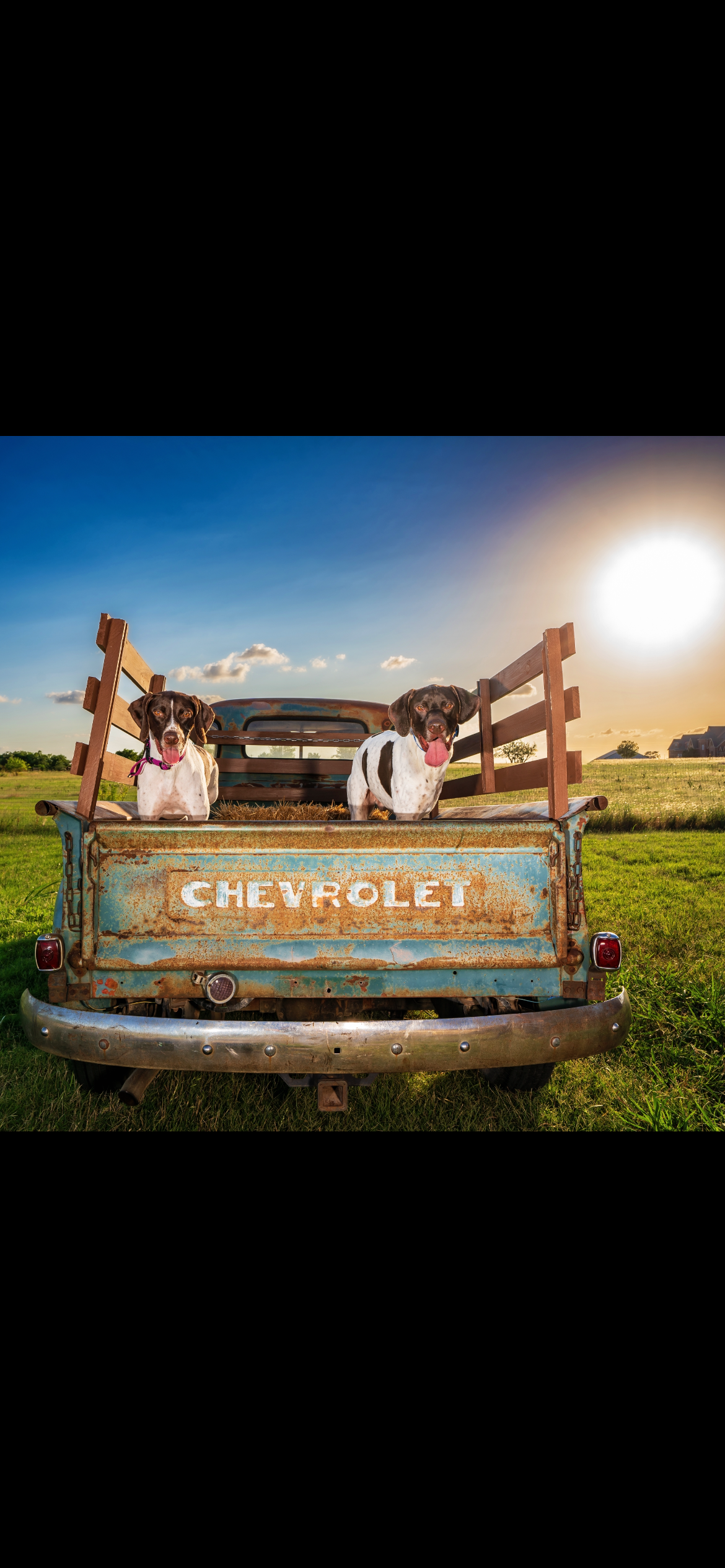 CharJoy’s Cajun Cooking's image