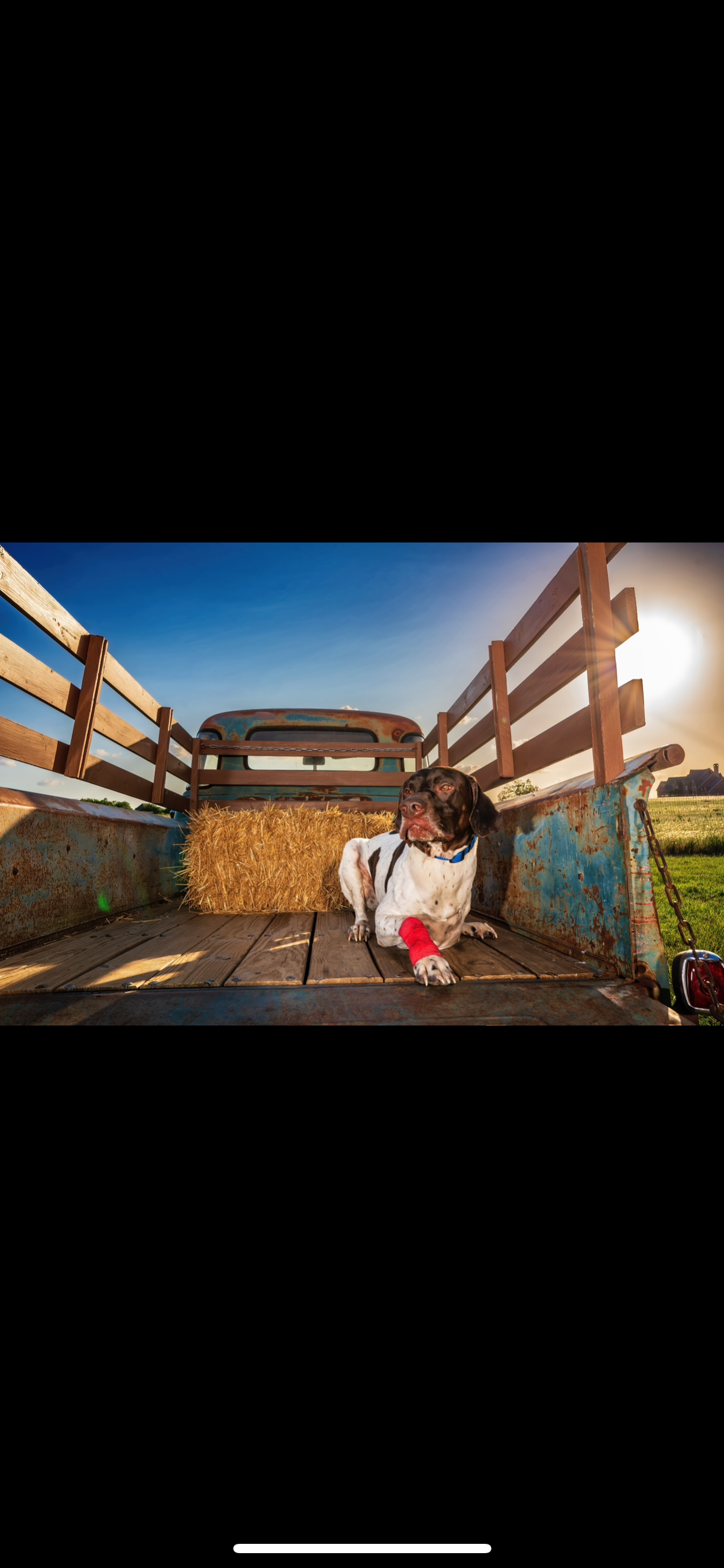 CharJoy’s Cajun Cooking's image