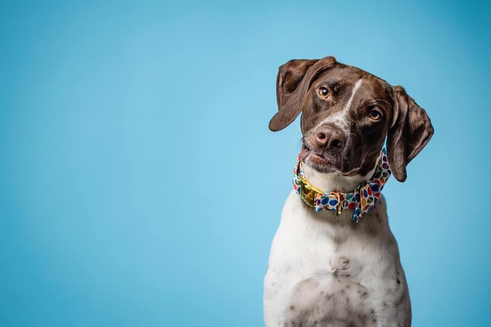 CharJoy’s Cajun Cooking's image