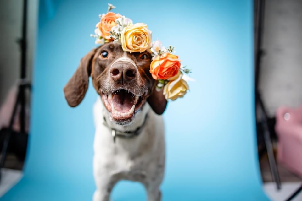 CharJoy’s Cajun Cooking's image