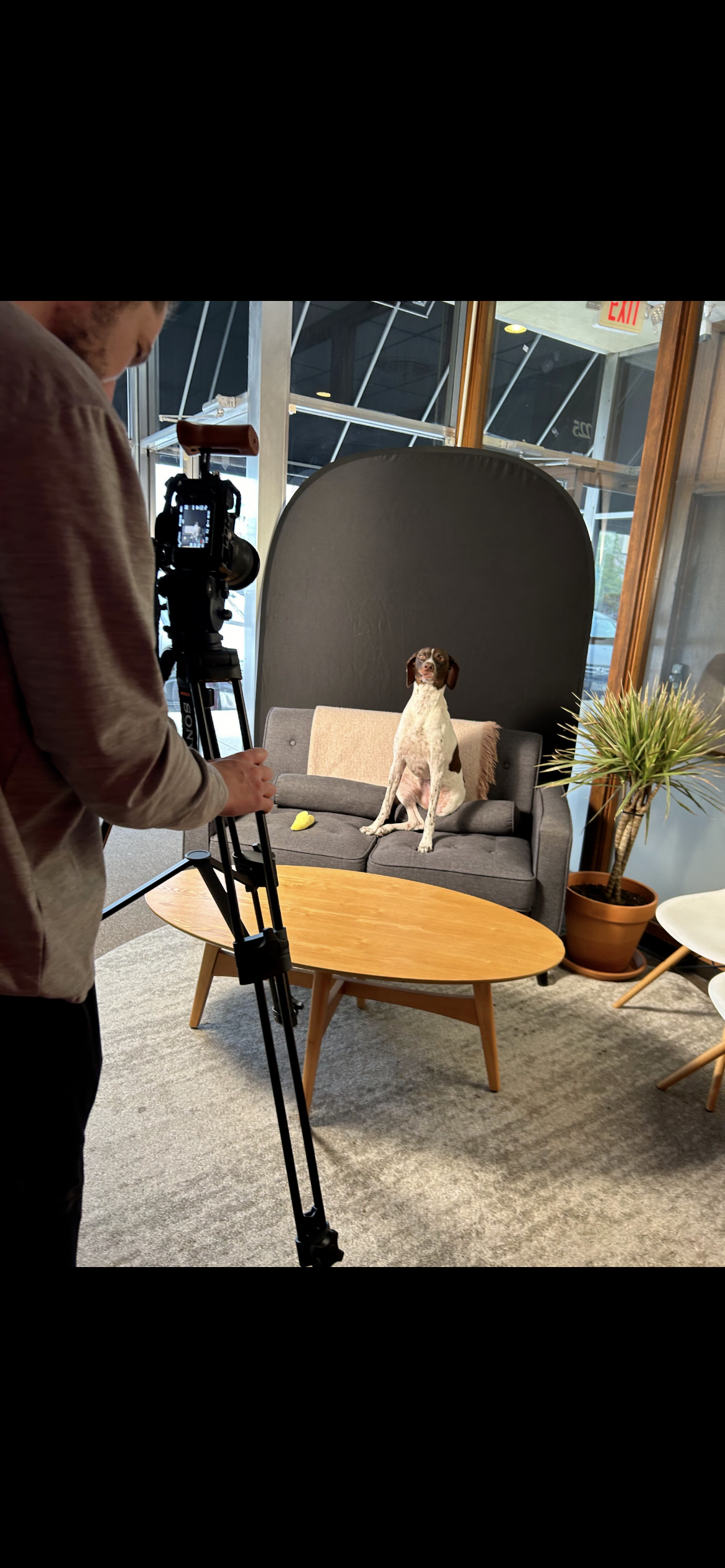 CharJoy’s Cajun Cooking's image