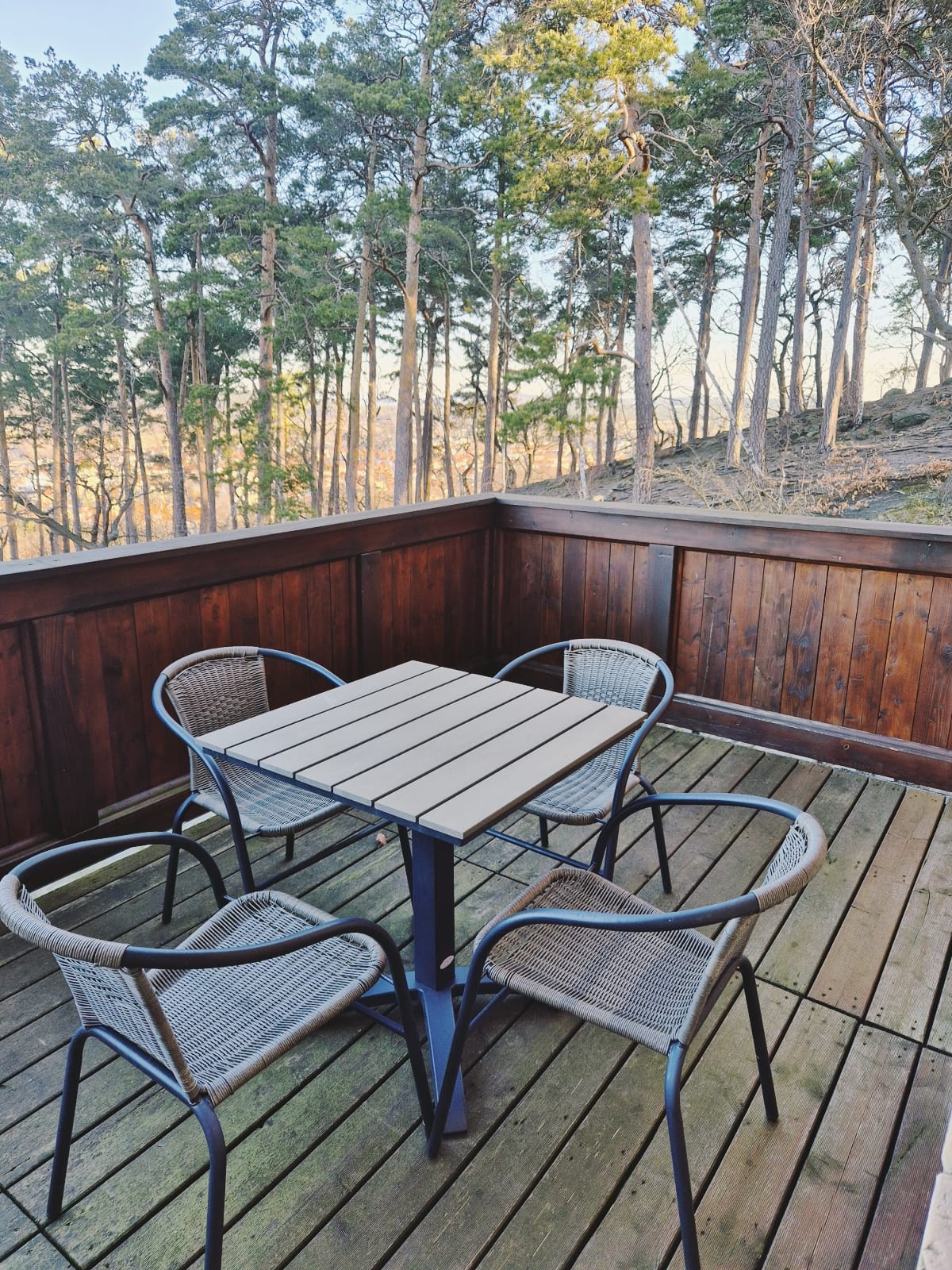 Boutique Hotel Villa Victoria Luise 's image