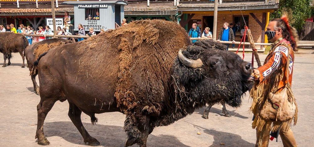 Boutique Hotel Villa Victoria Luise 's image