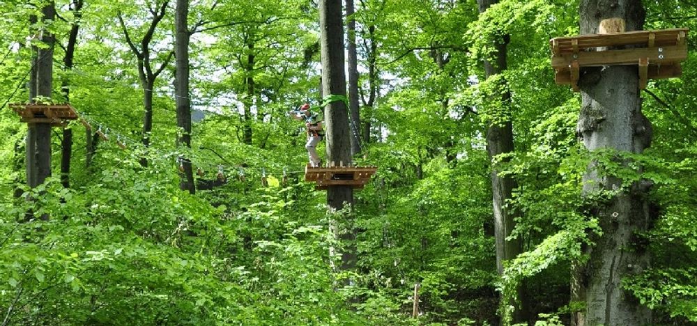 Boutique Hotel Villa Victoria Luise 's image