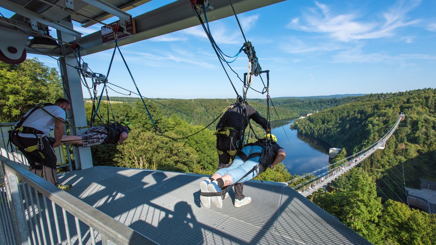 Boutique Hotel Villa Victoria Luise 's image