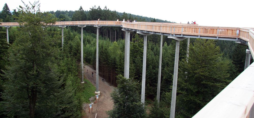 Boutique Hotel Villa Victoria Luise 's image