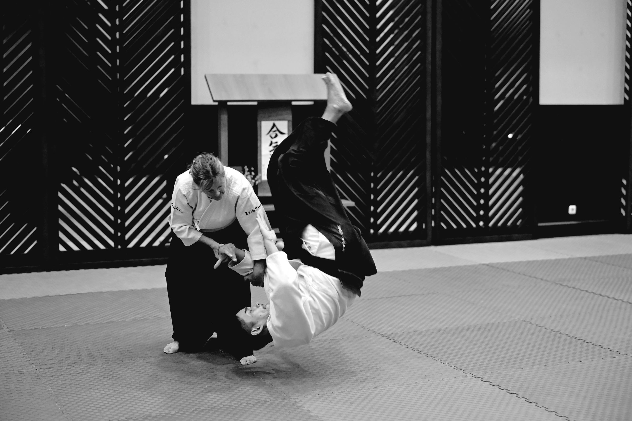 Lotus Aikido Dojo's image