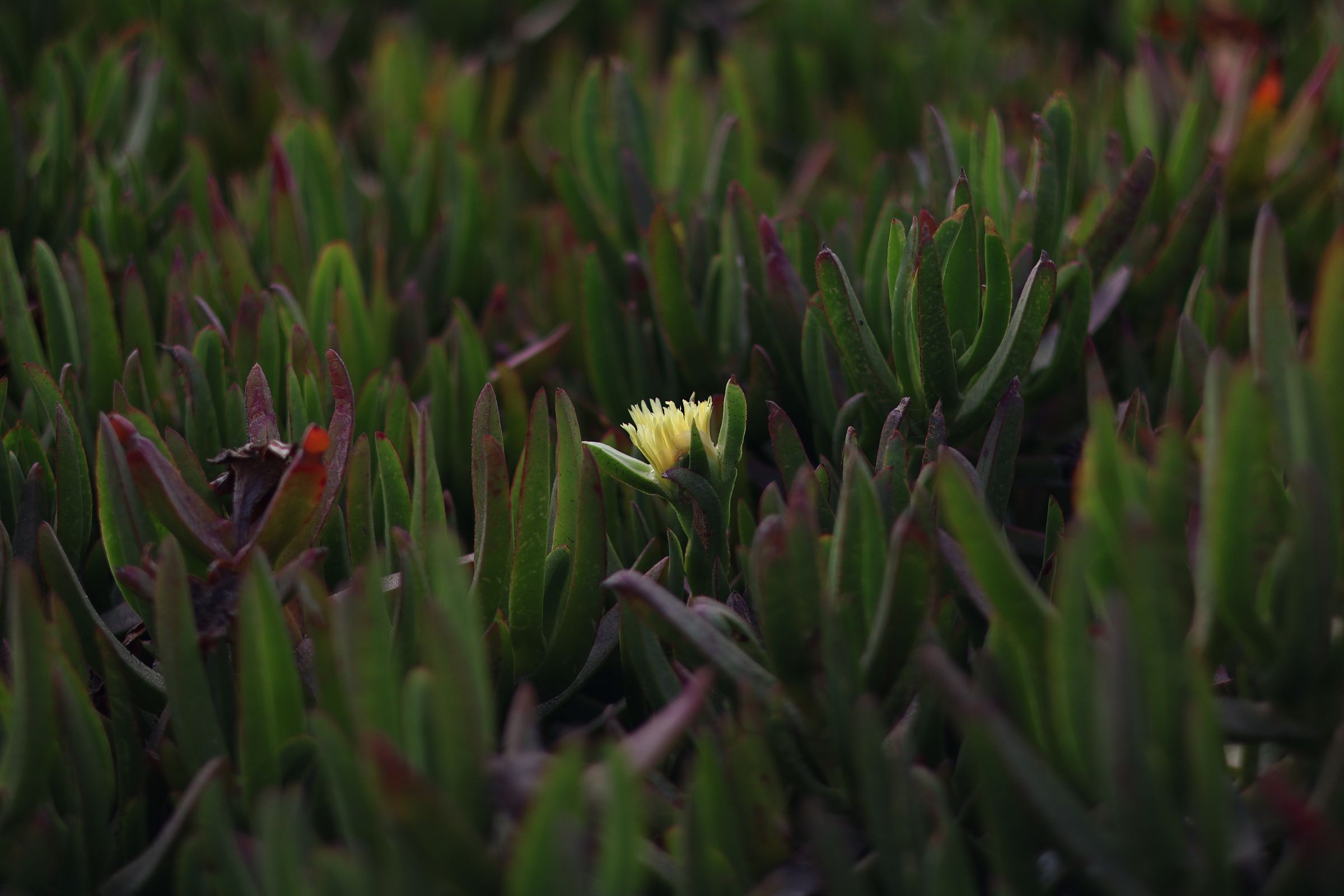 Brian Stevens Photography's image