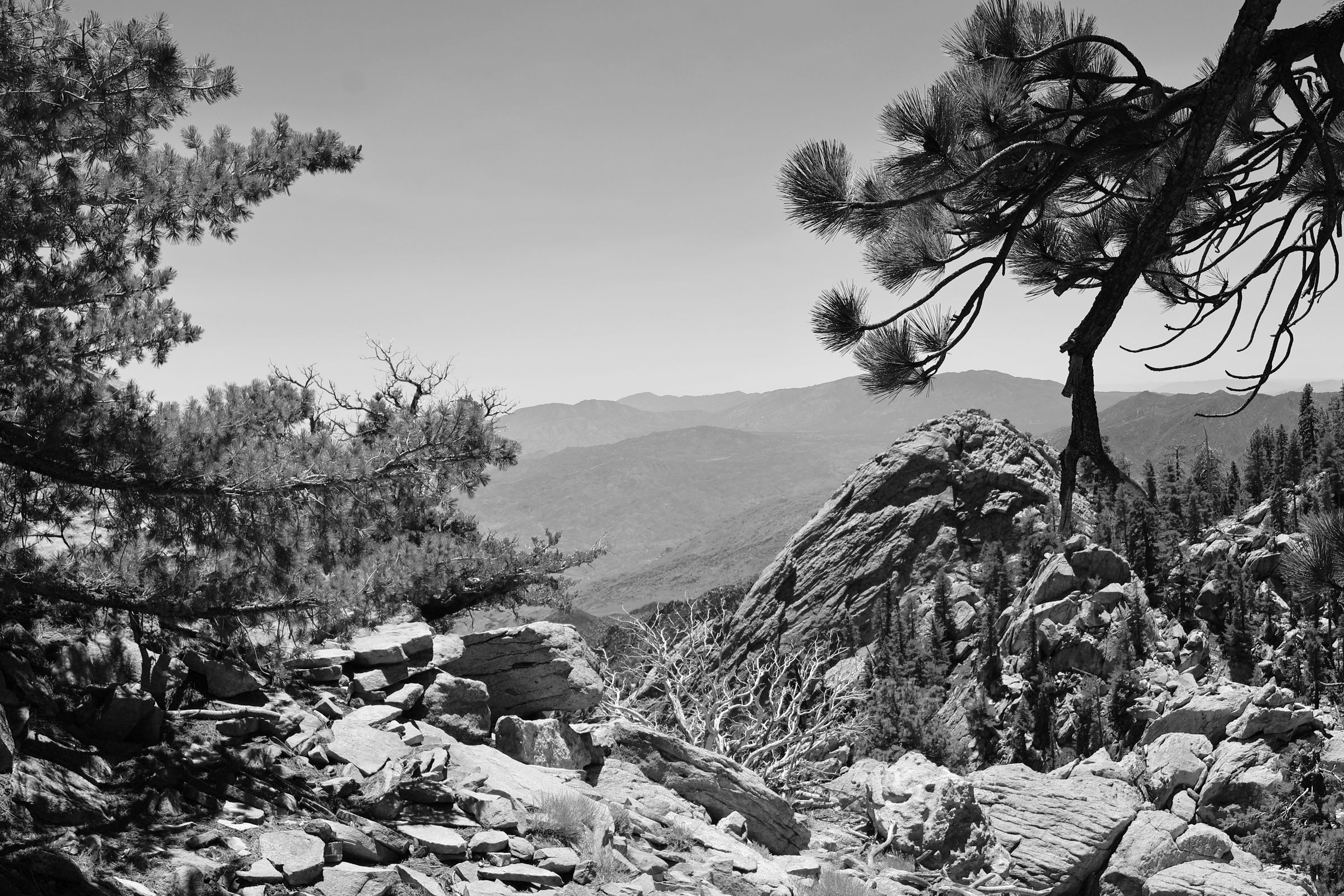 Brian Stevens Photography's image