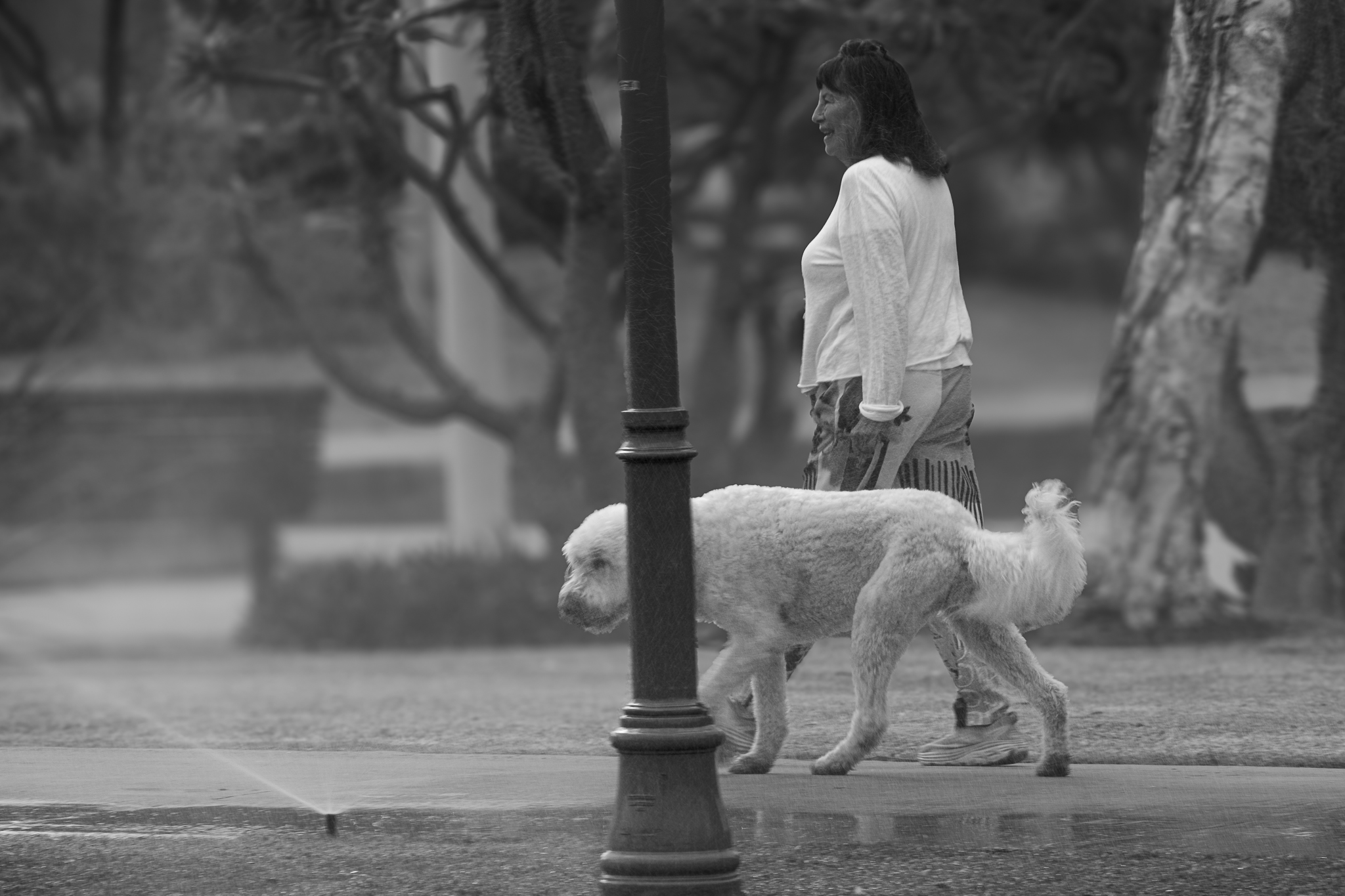 Brian Stevens Photography's image