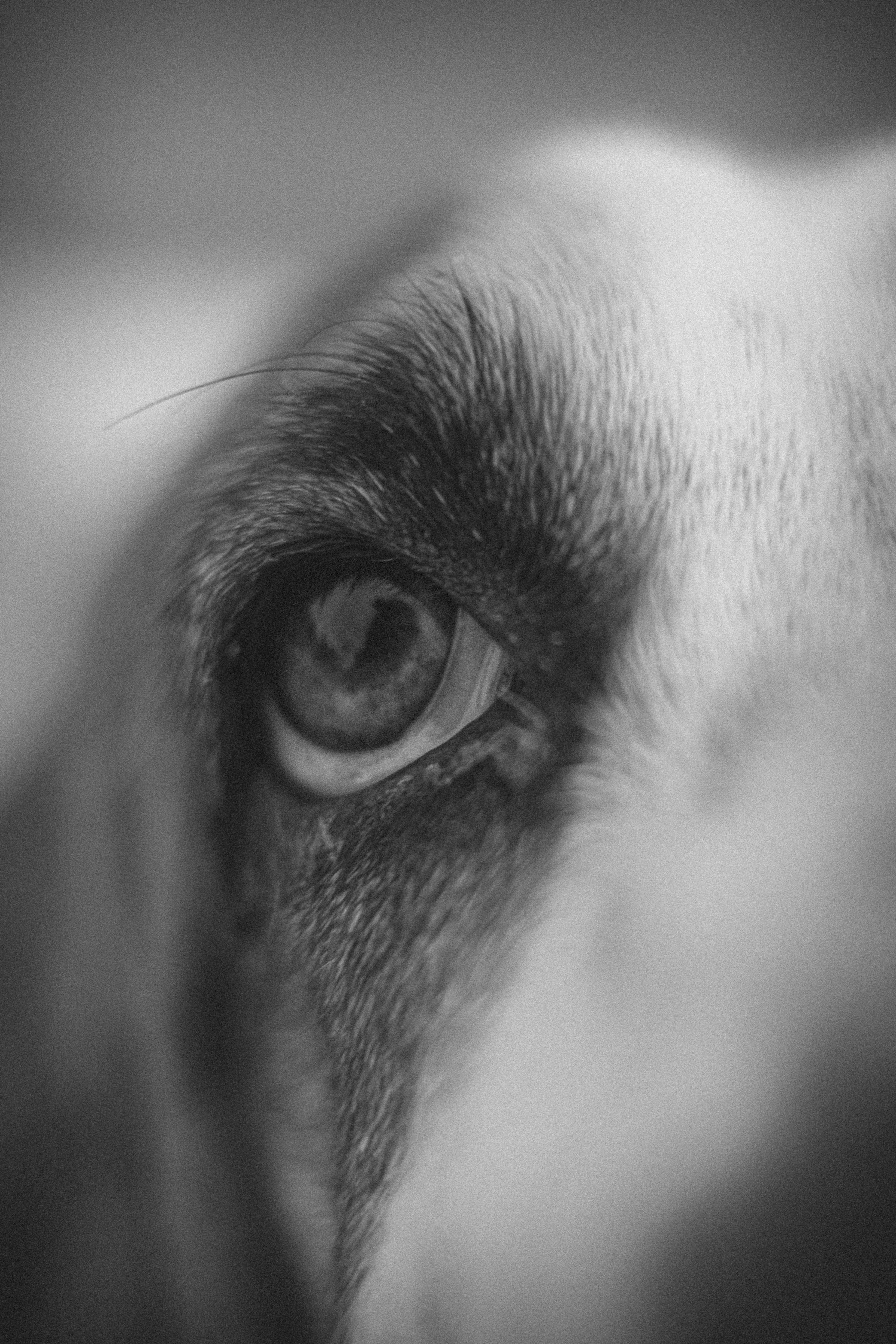 Brian Stevens Photography's image