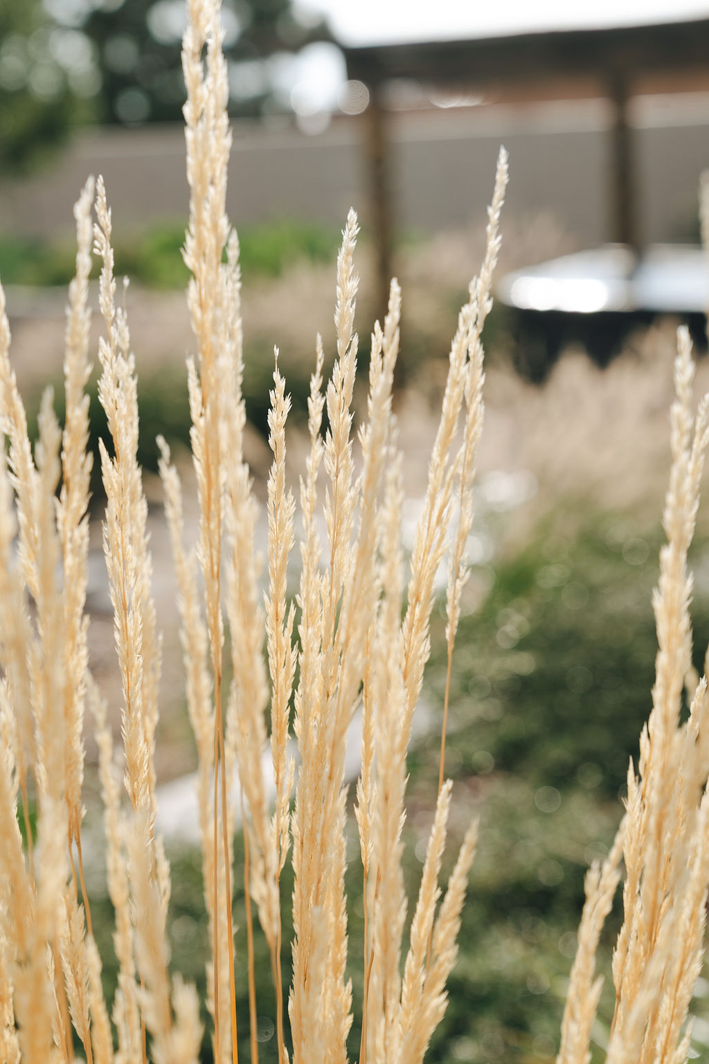 Heritage Land & Water 's image