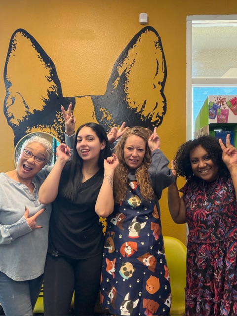 KCB Apprentice Program's image