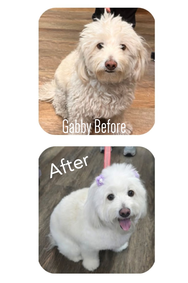 KCB Apprentice Program's image