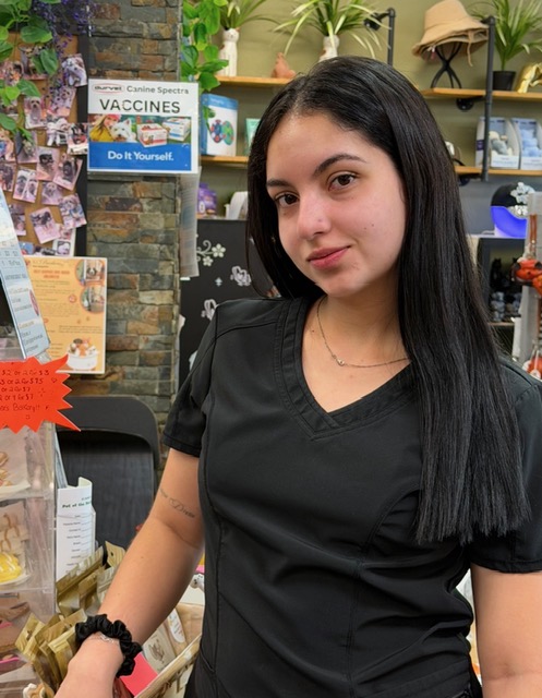 KCB Apprentice Program's image