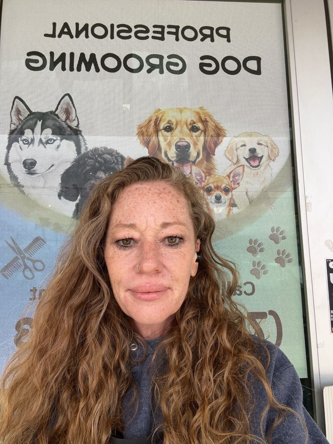 KCB Apprentice Program's image