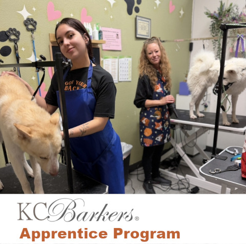 KCB Apprentice Program's image