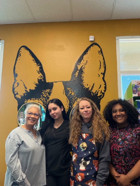 KCB Apprentice Program's image