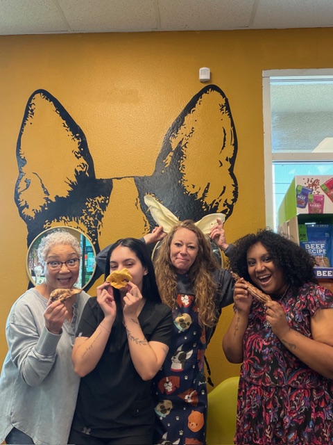 KCB Apprentice Program's image