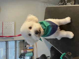 KCB Apprentice Program's image