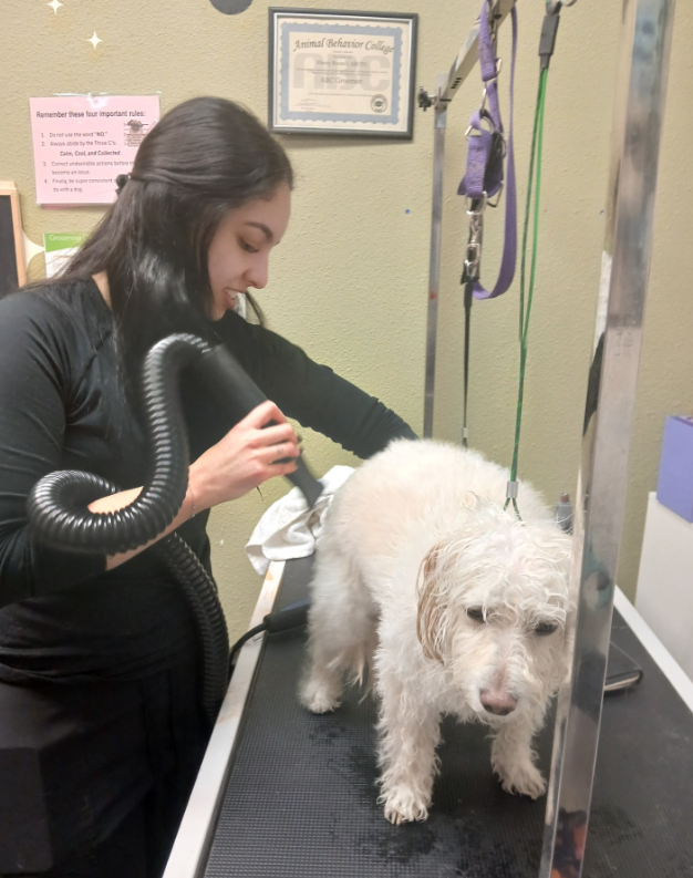 KCB Apprentice Program's image