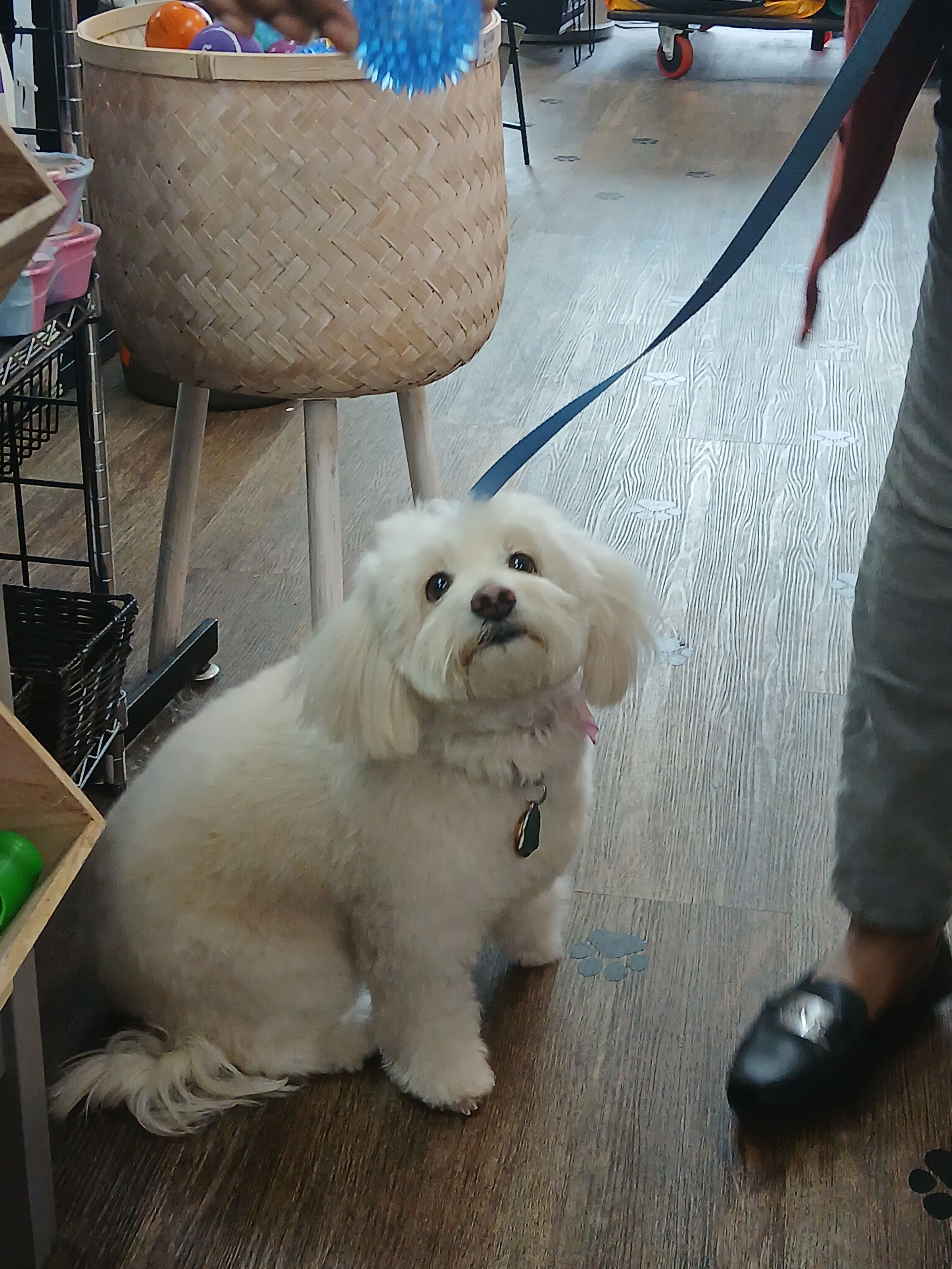 KCB Apprentice Program's image