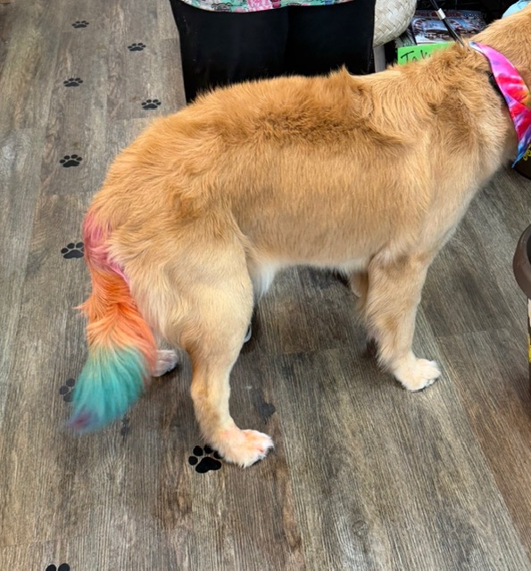 KCB Apprentice Program's image