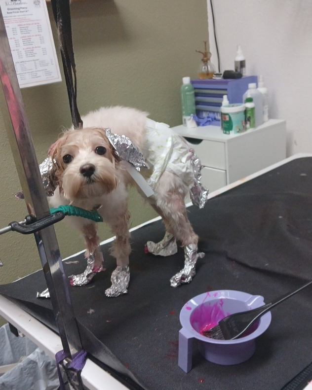 KCB Apprentice Program's image