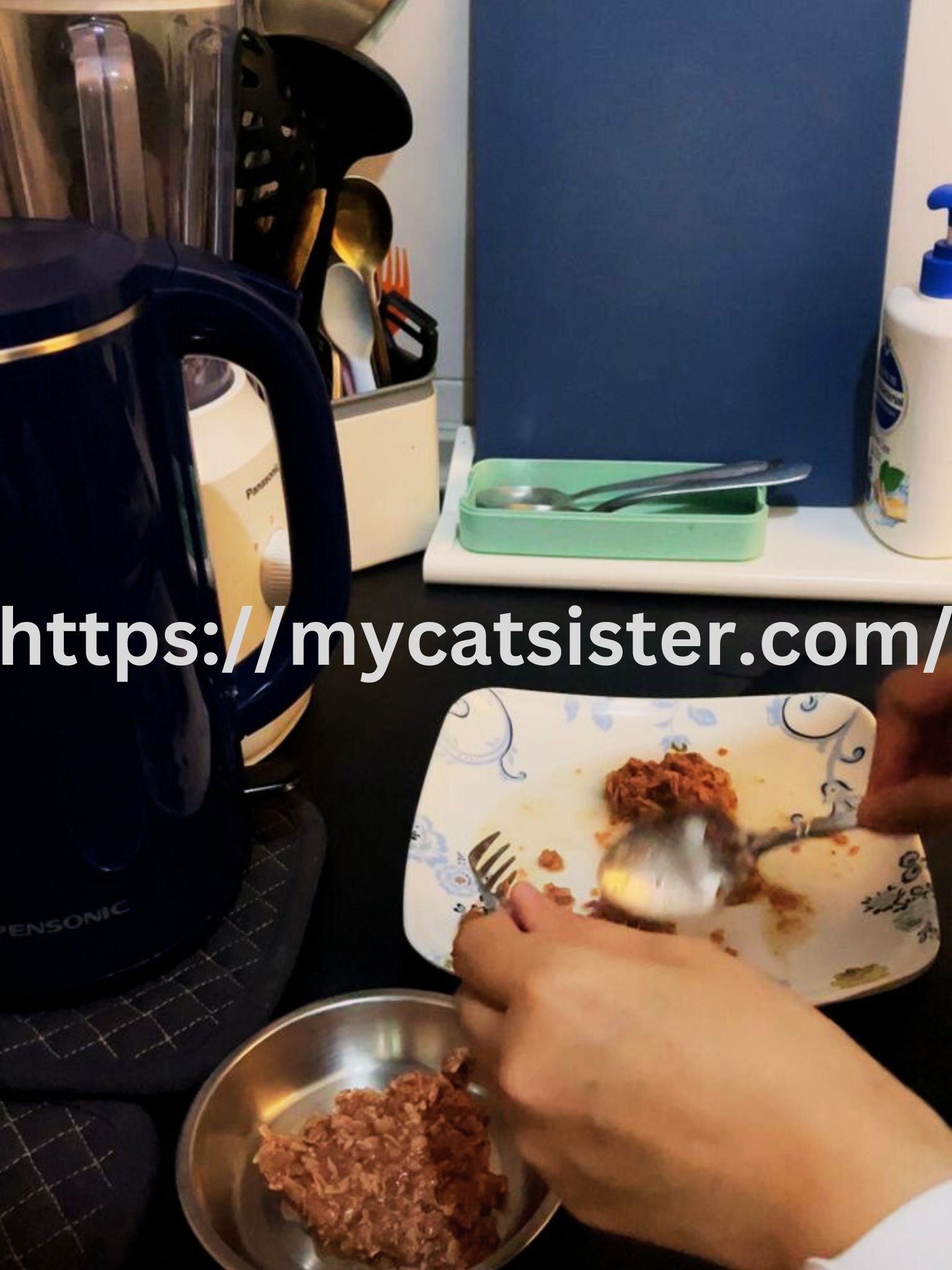 Cat Sitter Shah Alam | Cat Sitter Near Me 's image