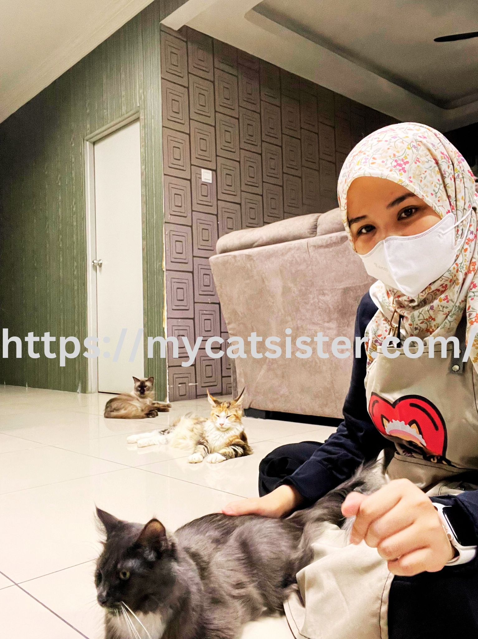 Cat Sitter Shah Alam | Cat Sitter Near Me 's image