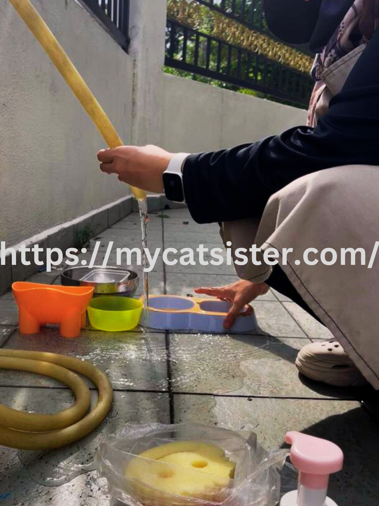 Cat Sitter Shah Alam | Cat Sitter Near Me 's image