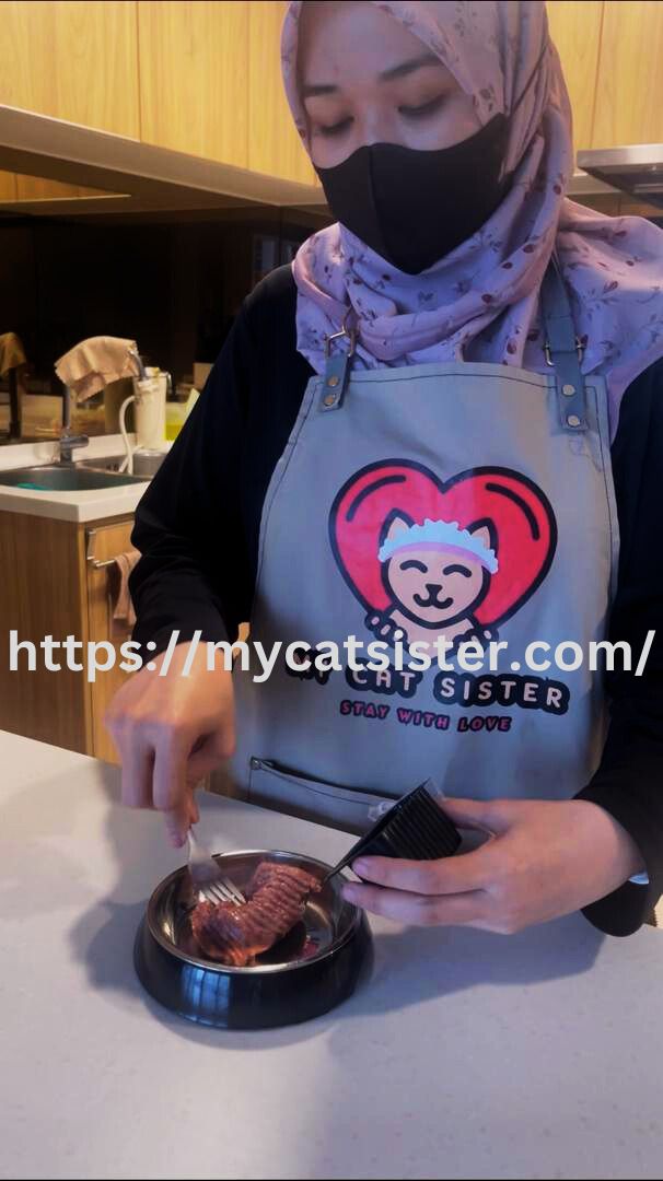 Cat Sitter Shah Alam | Cat Sitter Near Me 's image