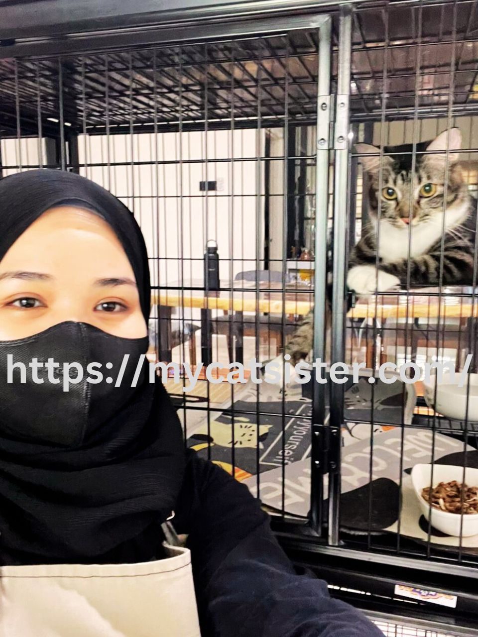 Cat Sitter Shah Alam | Cat Sitter Near Me 's image