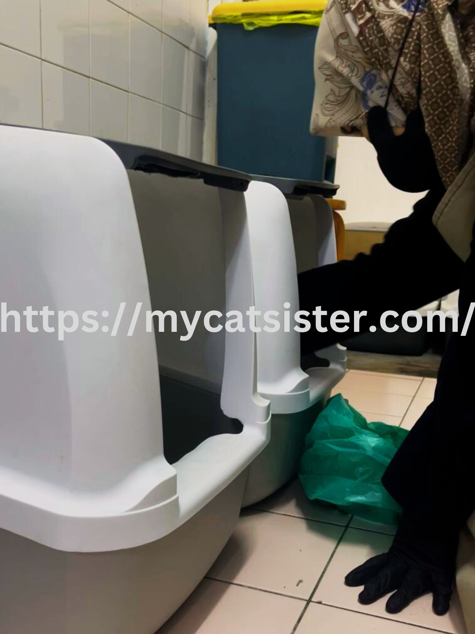 Cat Sitter Shah Alam | Cat Sitter Near Me 's image