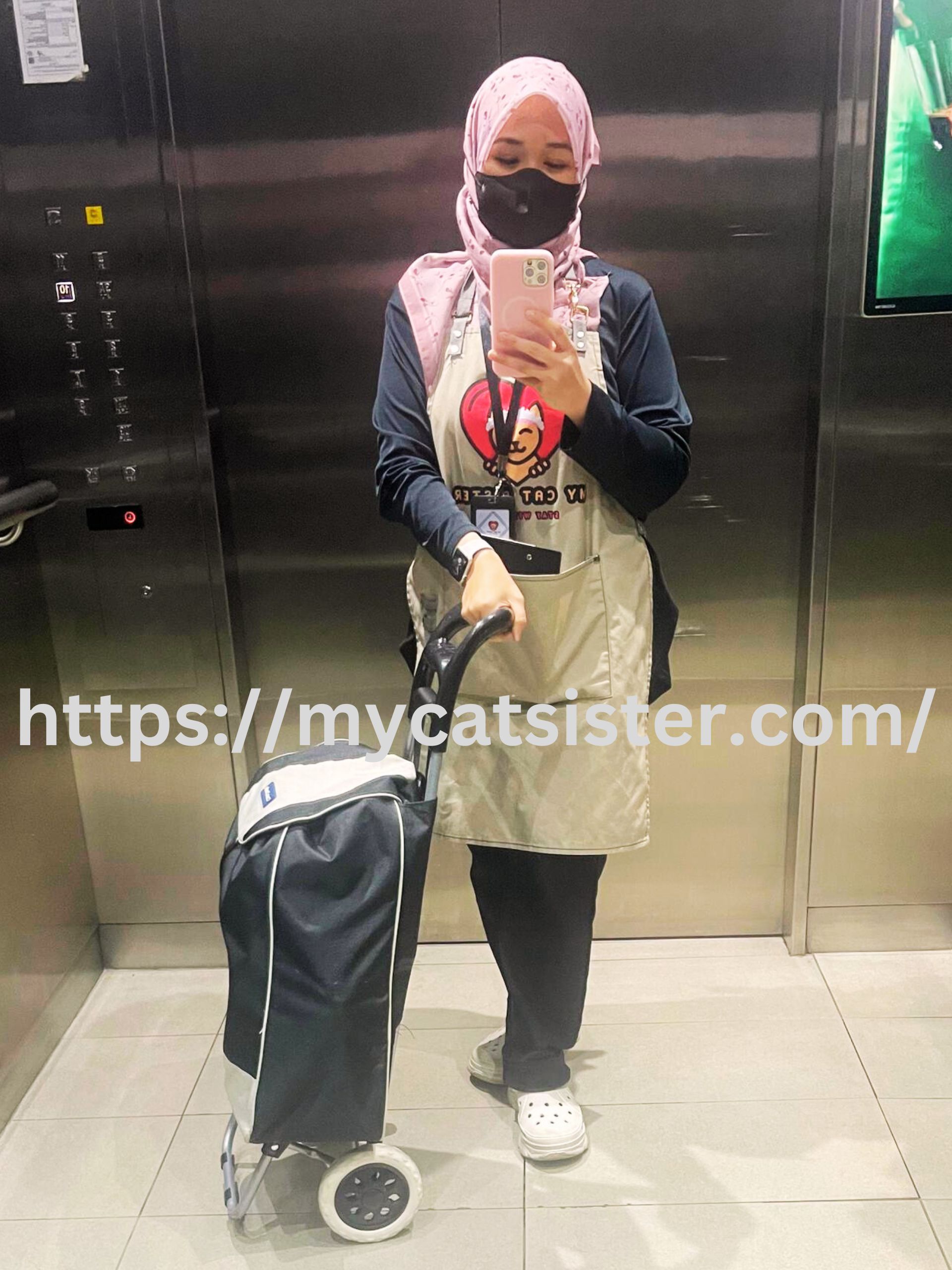 Cat Sitter Shah Alam | Cat Sitter Near Me 's image